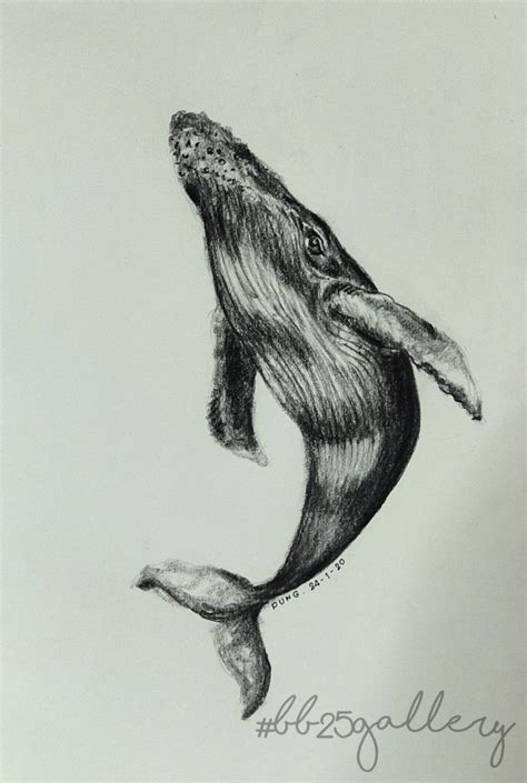 When it comes to how it the creatures' mouth felt wrapped around his body, it's. Humpback whale in 2020 | Whale drawing, Pencil drawings ...