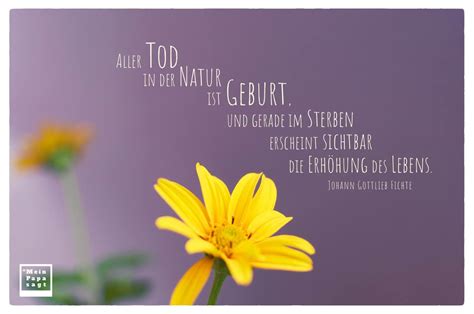 Veröffentlicht am 28.12.2014 | lesedauer: Todes Zitate Weisheiten