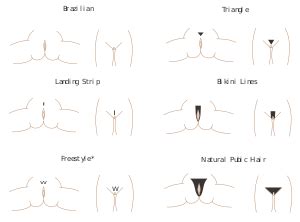 Check out our guide for the fullest info on the subject. pubic hair styles for men ~ HairStyles Blog