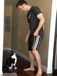 Porcelainangelx i imagine it's because of the reaction people have when they see a taller woman with a shorter man, said the woman when asked why some men feel insecure being shorter than women. 8 Things Only Short Girls Who Only Date Tall Guys Know To ...