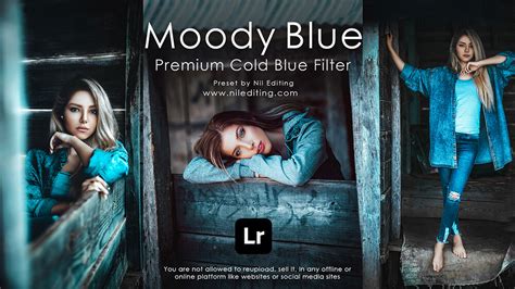 How to edit professional photography | lightroom moody dark presets dng & xmp free download. Lightroom Mobile Presets Download Moody Blue Preset - Nil ...