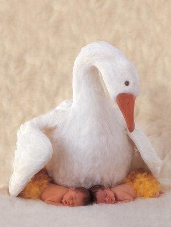 Check spelling or type a new query. 'Mother Goose' Prints - Anne Geddes | AllPosters.com