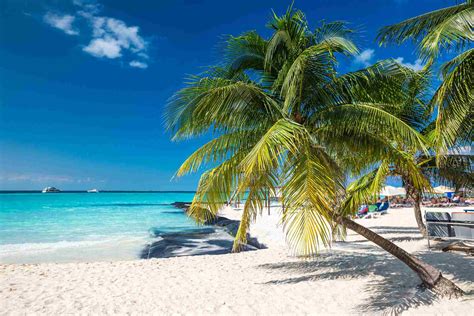 Mexico, de mexicaanse federatie of officieel de verenigde mexicaanse staten is een federale constitutionele staat/republiek/land. 10 dagen relaxen op het strand van Mexico | Holidayguru.nl