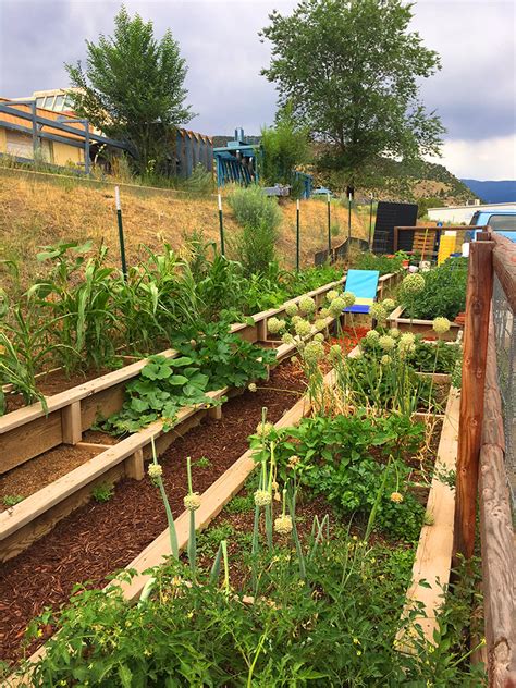 Tarrant area food bank's community garden program. Community Garden - Durango Food Bank