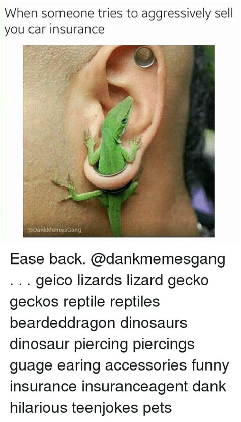 We are happy to report that. When Someone Tries to Aggressively Sell You Car Insurance Ease Back Geico Lizards Lizard Gecko ...
