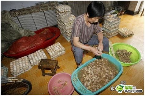Contact jawatan kosong operator kilang di sekitar selangor on messenger. Jijik kilang memproses makanan yang pasti buat semua nak ...