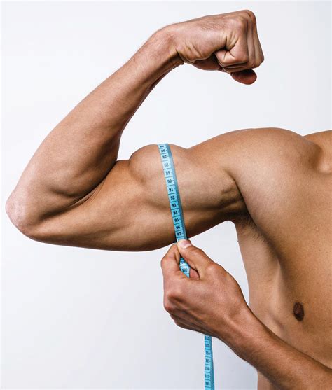 In male humans, testosterone plays a key role in the development of male reproductive tissues such as testes and prostate, as well as promoting secondary sexual characteristics such as increased muscle and bone mass, and the growth of body hair. Testosteron: Kaj je in kako ga lahko zvišamo | Zdravje
