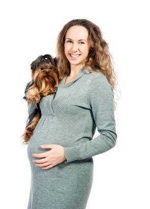 Partly the result of hormonal fluctuations and partly the physical strain of carrying extra body weight, pregnant women can expect to buy new bras, search for ways to alleviate swollen ankles, gasp for breath after climbing a few stairs. Optimized-Pregnantwomandog - The Dogington Post