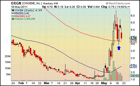 The rainbow is only one of many.while the rainbow. High Tight Flags: Month In Review, Part 1 - System Trading ...