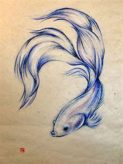 We did not find results for: Blue Angel. Oil pastel drawing of a siamese fighting fish ...