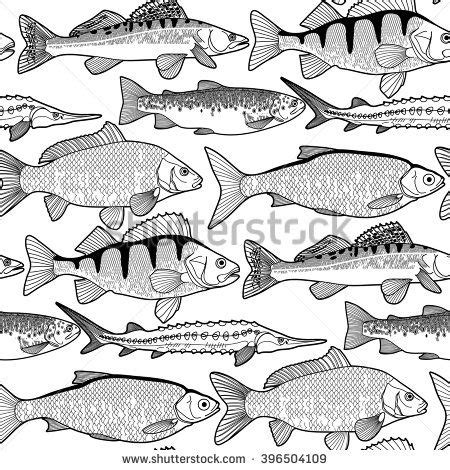 Click here to download the tropical fish coloring page printable. Pin on fish paintings