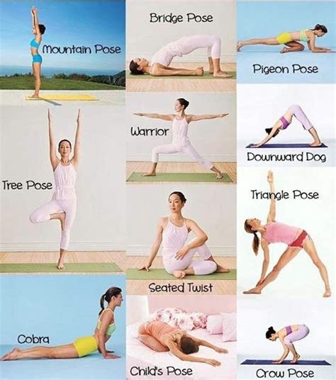 Damit die schulterblattmuskulatur in bewegung kommt, kann man die arme in der rückenlage nach oben nehmen. Yoga für Anfänger - Übungen, Erfahrung, Definition und ...