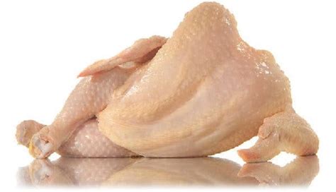 Antara bahan yang sering digunakan untuk kecantikan. 7 Kebaikan Kulit Ayam Yang Ramai Tak Tahu Baik Untuk ...