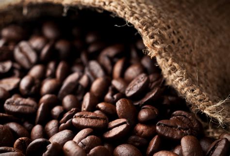 We put in a lot of effort to build an offerings list by carefully selecting some of the best coffees from the top origins around the world so you can buy coffee beans online in a convenient and simple location. Coffee beans could become a cash crop for Australia ...