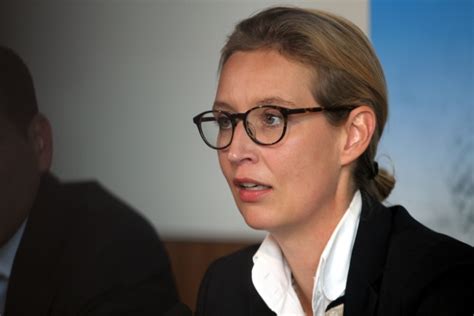 Aber es ist davon auszugehen. Weidel im Bundestag: „Burkas, Kopftuchmädchen ...