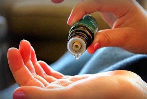 We believe that it is improper for any. mosquito-repellent-oil - Pest Hacks