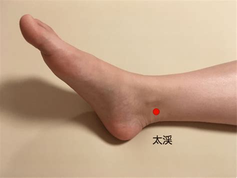 耳鳴り・難聴 | 中医学から診た各種疾患 | そらのいろ鍼灸院 ...