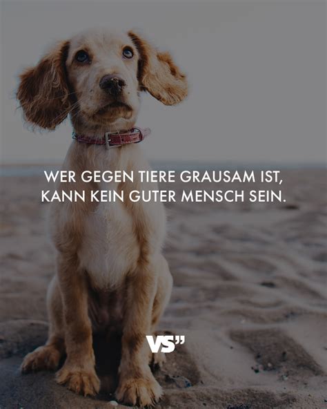 Verzichte möglichst auf den einsatz von strafe und gehe fair mit deinem hund um. Visual Statements® | Visual statements, Sprüche zitate, Wahre worte