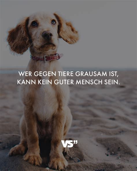 Der hund bleibt mir im sturme treu, der mensch nicht mal im winde. (arthur schopenhauer) ♥ ein hund ist wie ein herz auf vier beinen. (irisches sprichwort) ♥ „für seinen hund ist jeder ein napoleon.deshalb sind hunde so beliebt. (aldous leonard huxley) ♥ Visual Statements® | Visual statements, Sprüche zitate ...