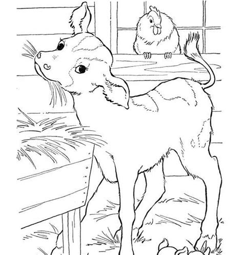 Printable mountain goat coloring pages. Coloring Pages Animals Goat - Dejanato