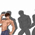 Muscle Growth Sequence