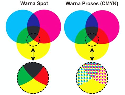 Perbedaan Warna Spot Dengan Warna Proses