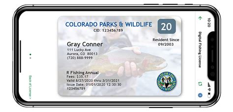 Importance of Having a Valid Fishing License in Colorado
